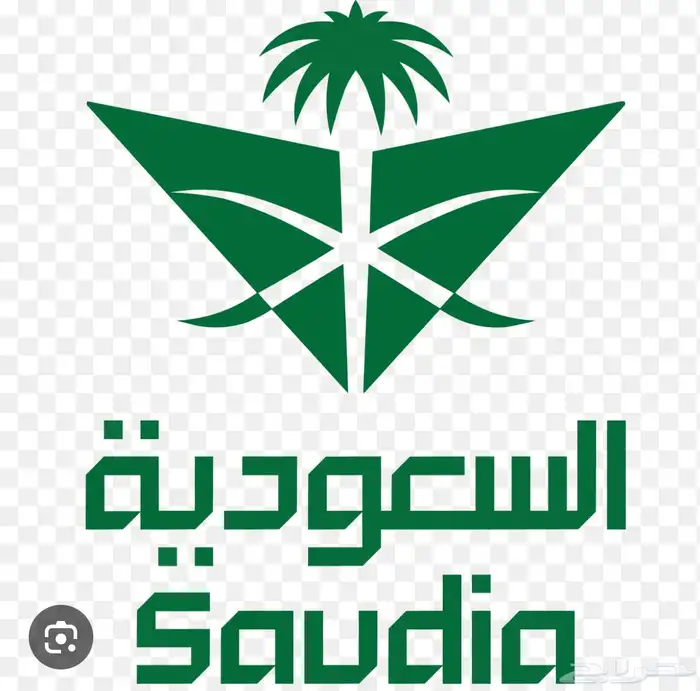 حجز في الخطوط السعودية عن طريق الاميال 1