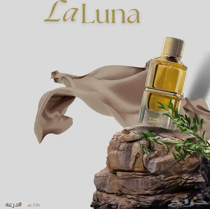 مصممة جرافيك 7