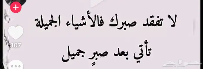 ابحث عن شقه مفروشه غرفه وصاله شهري 0