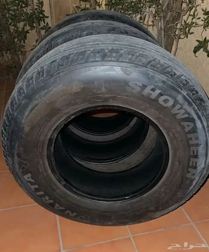 شواهين 17 1