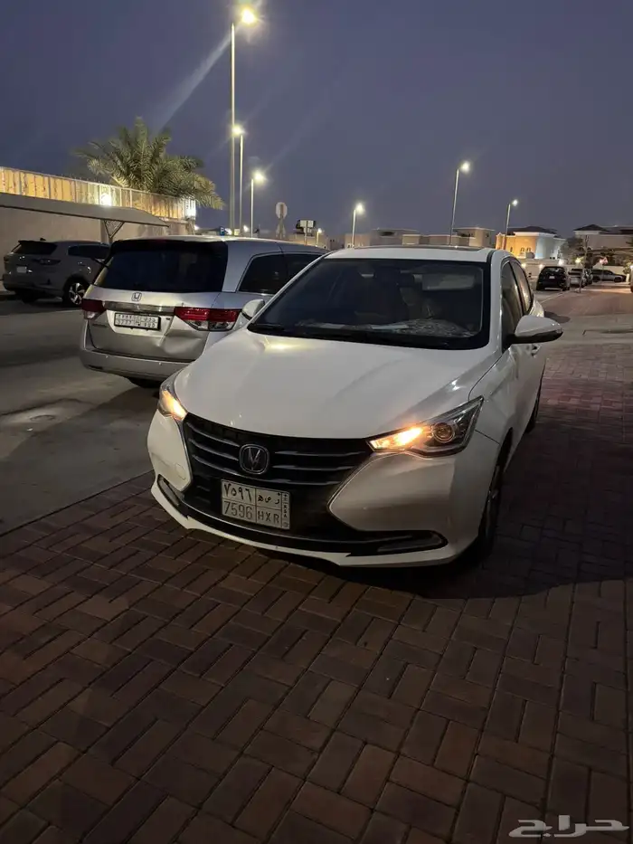شانجان السفن 2024 18
