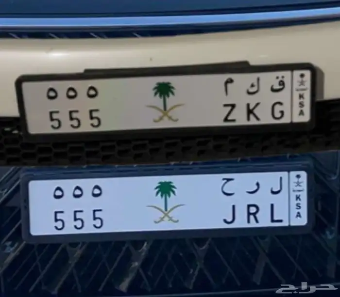 للبيع لوحتين 555 0