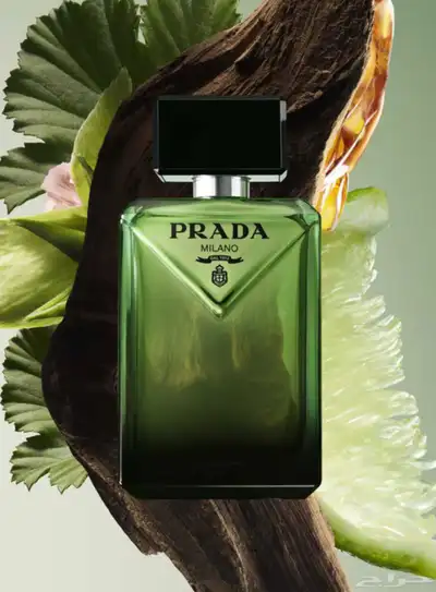 عطر PRADA الأخضر الجديد برادا بارادايم 100مل index