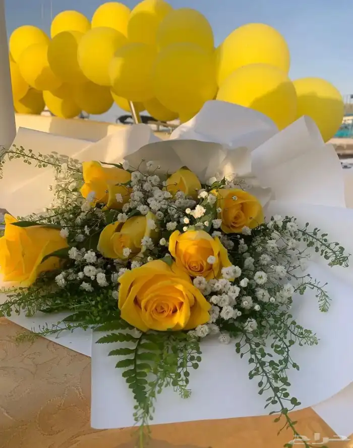رحلات بياضه. خور. صيد. حفلات 21