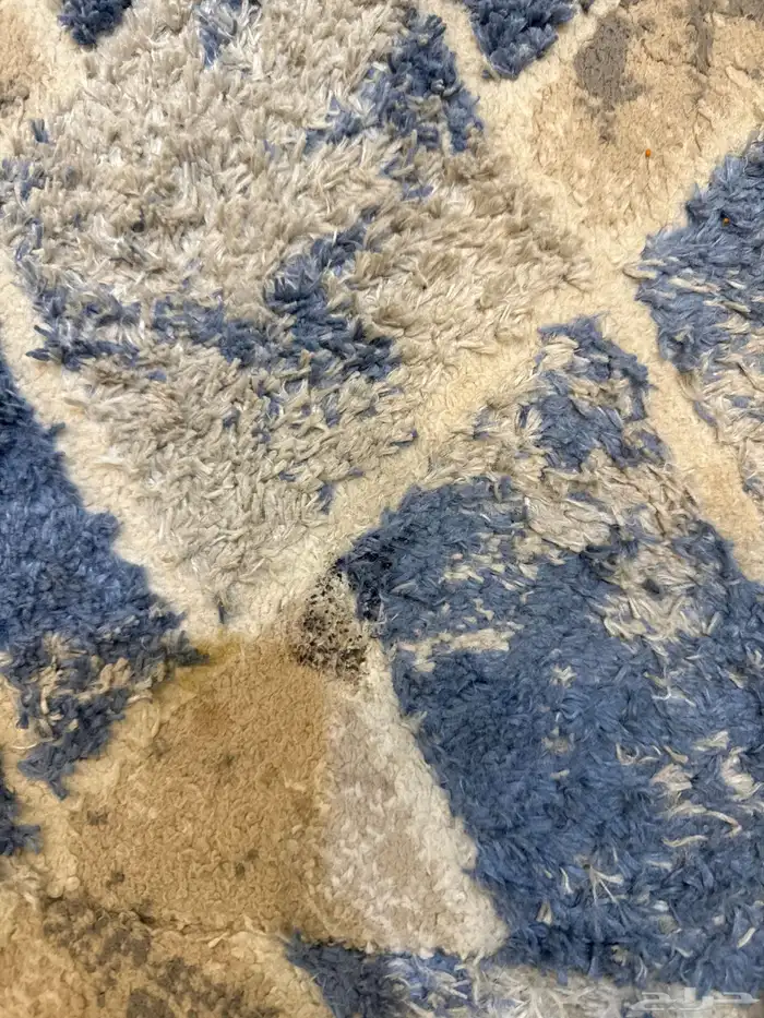 مجلس 2