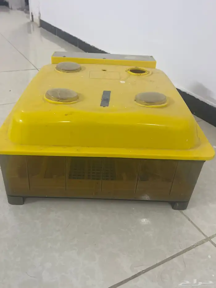 فقاسه بيض صغيره 0