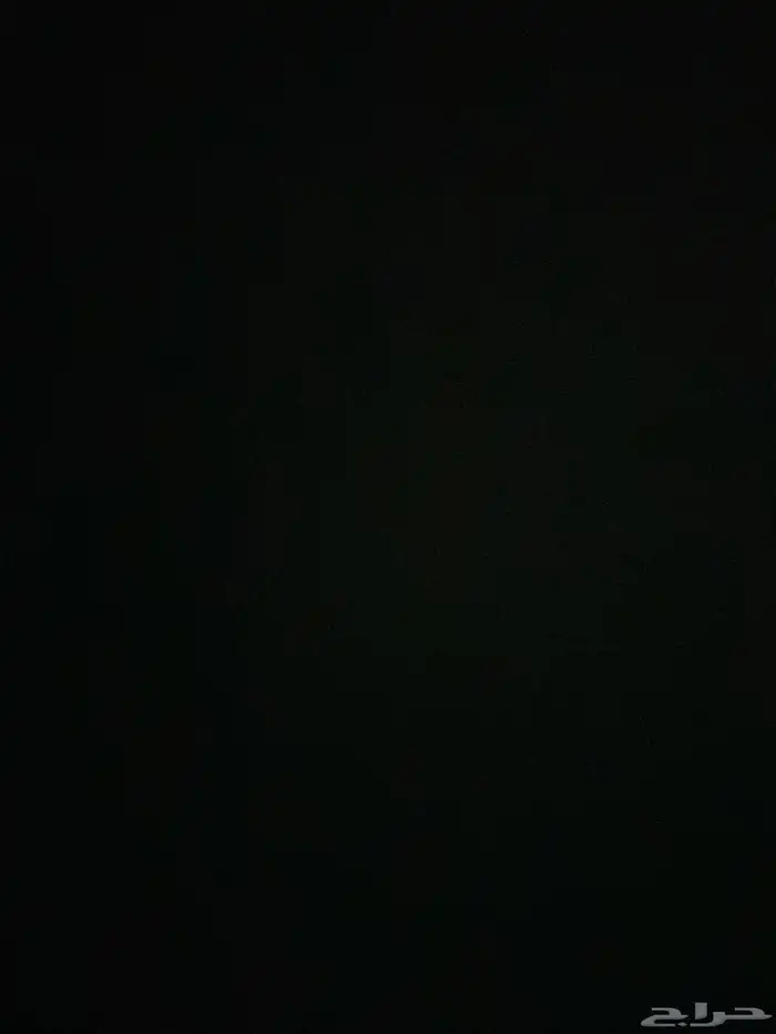 يوجد فروخ حمام للبيع فرنسي وسلفر وزاجل حي 0
