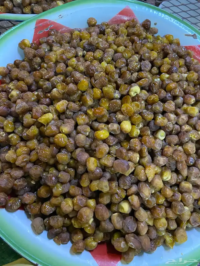 قنيان برحي 1