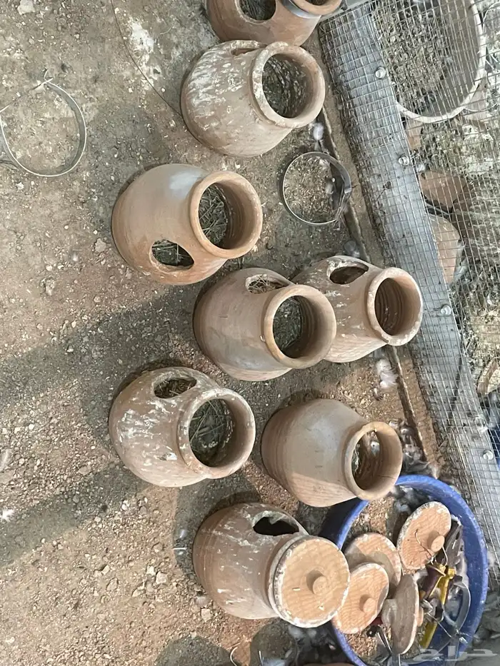 للبيع بياضات فخار طيور زينة و ماكليات فخار 6