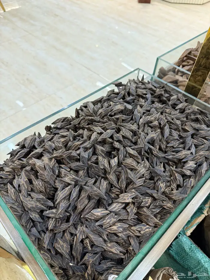 عود تايقر جملة 0