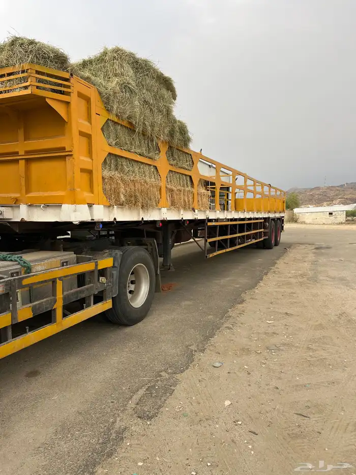 تيدر المطلق اعلاف 0