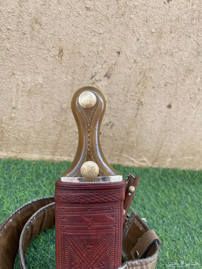 جنبيه حك زراف 2