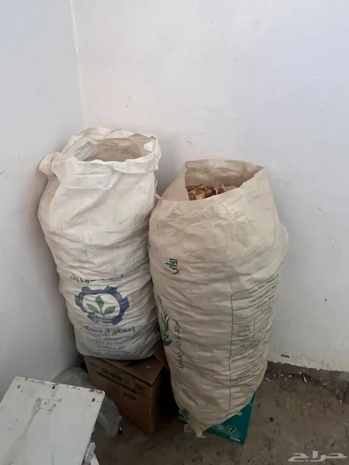 خيشتين خبز كبار 2