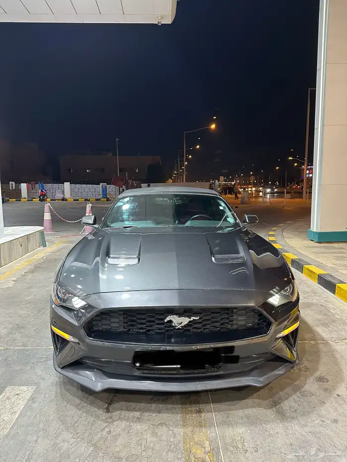 موستنق كشف 2019 ايكو بوست 7