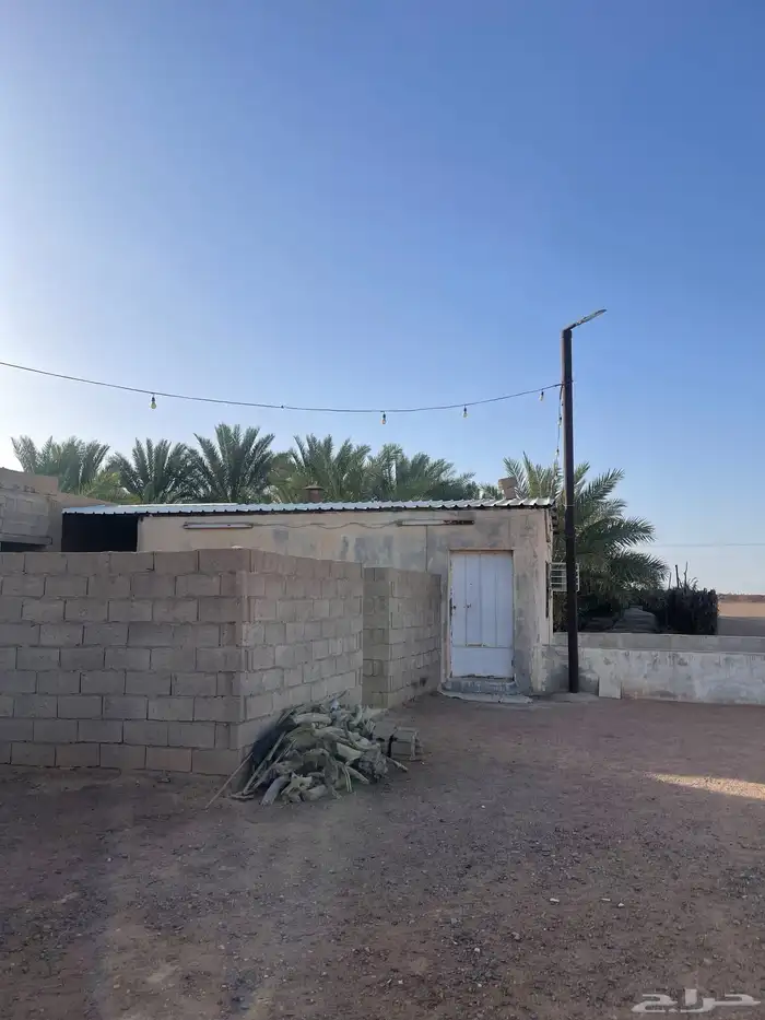 حائل الشنان 1