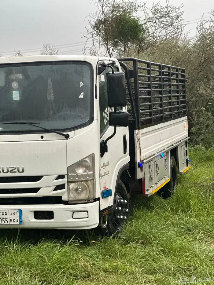 دينا الحمدانيه 0