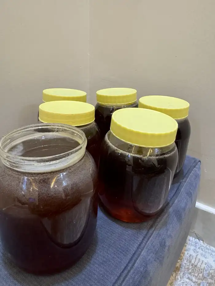 عسل سدر بلدي مضمون 1