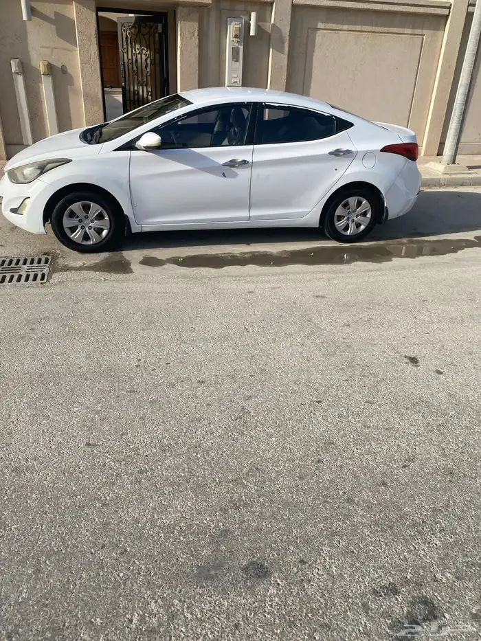 النترا 2015 3
