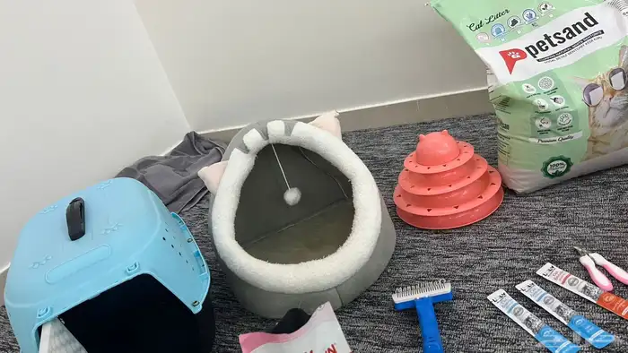 اغراض قطط للبيع 4