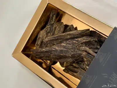 عوده للبيع و عطور index