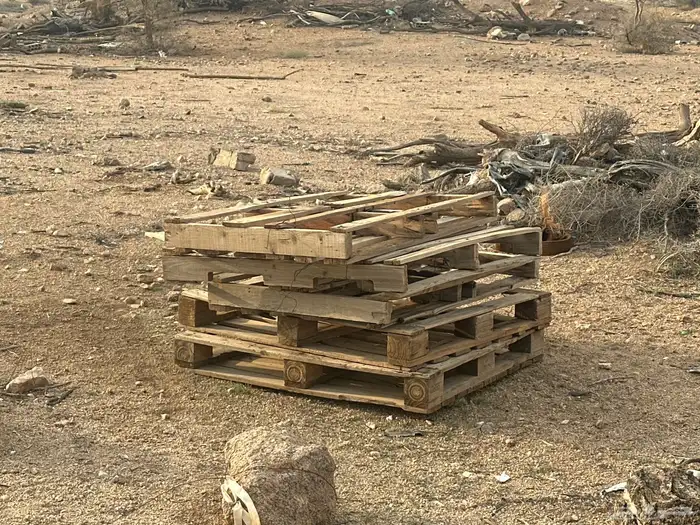 طبليات للبيع 1