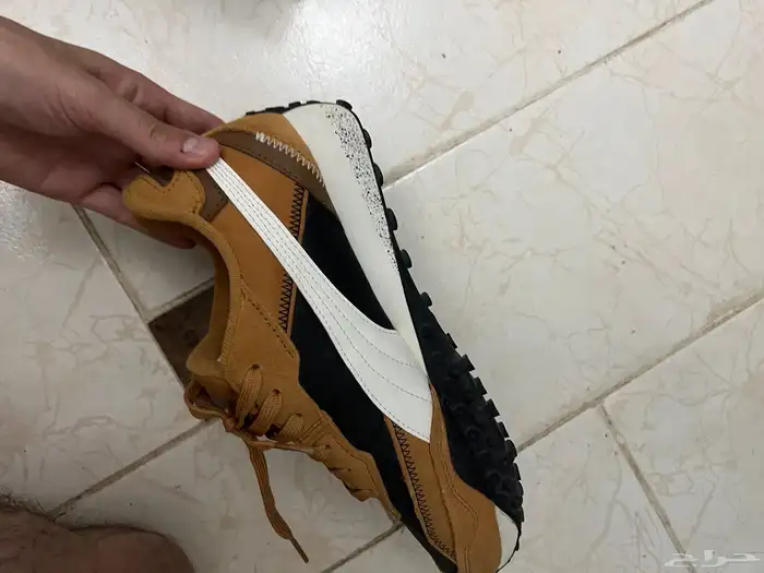 puma and adidas campus new 8