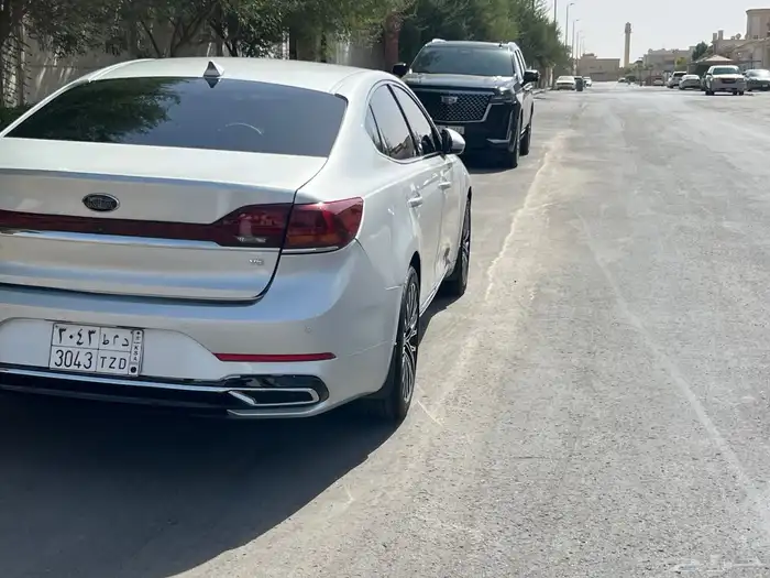 كادينزا 7