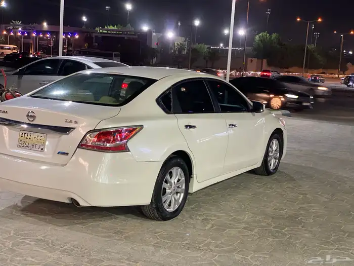 التيماء 2014 3