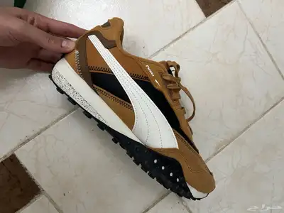 puma and adidas campus new index