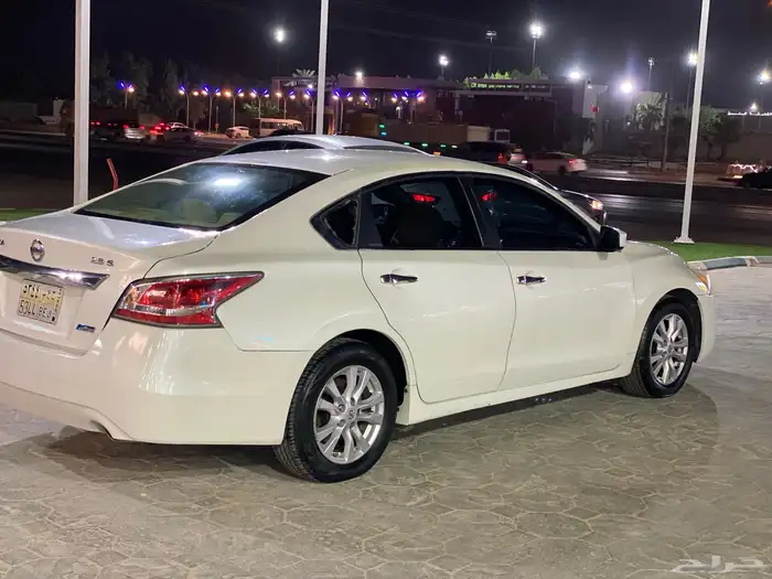 التيماء 2014 6