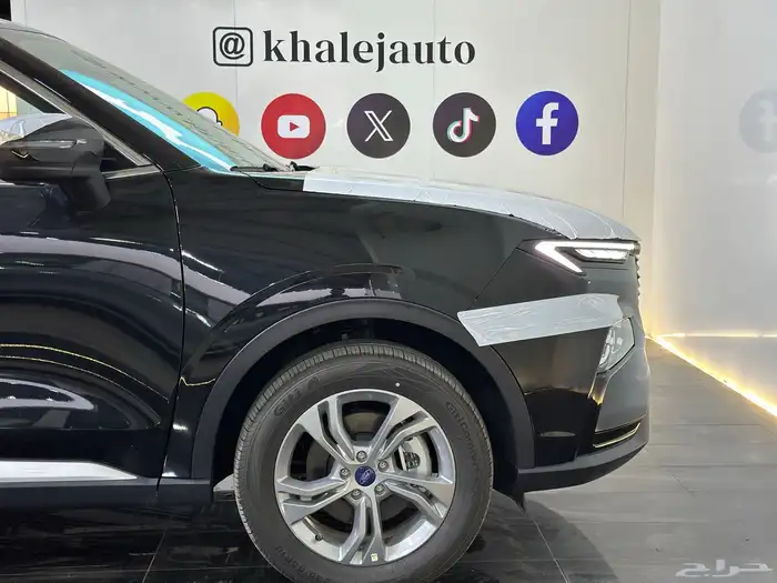 تيرتوري تريند 2025 3