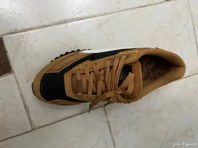 puma and adidas campus new index