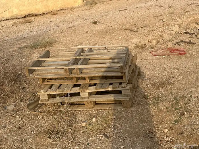 طبليات للبيع 0