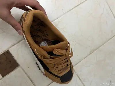 puma and adidas campus new index