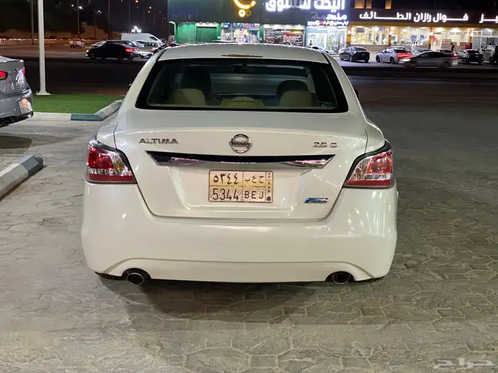 التيماء 2014 5