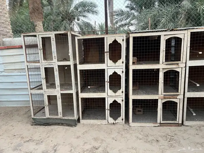 محاكر حمام 1