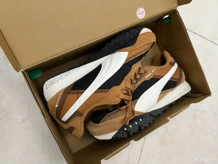 puma and adidas campus new 9