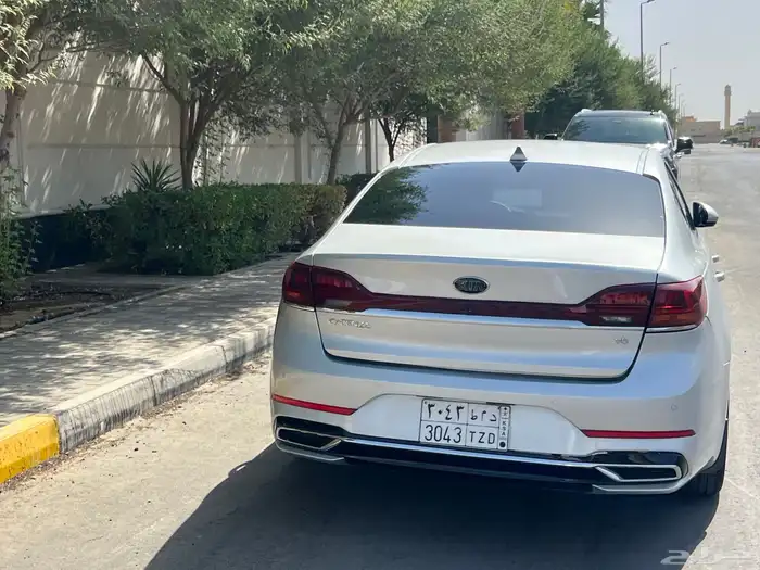 كادينزا 8