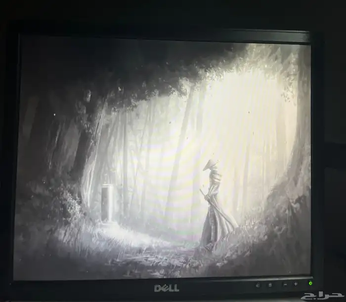 شاشه كمبيوتر dell للبيع 1