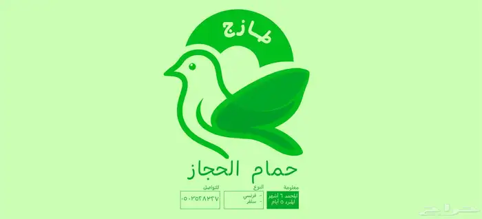 مصمم جرافيك 0