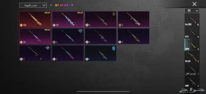 حساب ببجي اسطوري . 24