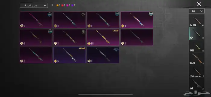 حساب ببجي اسطوري . 25