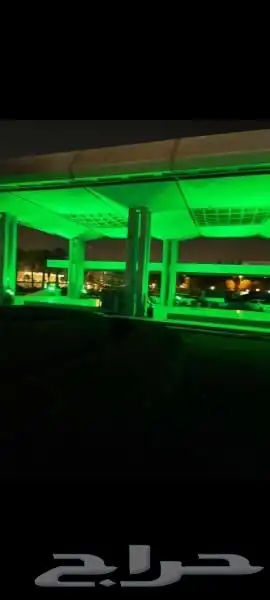 إضاءات العيد الوطني أقواس اضواء العيد الوطني 10