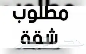 مطلوب شقة عائلية ثلاث غرف نوم و غرفة صاله ودورتين مياه 0
