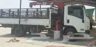 مكاين ثقيله معدات دينا ونش دينة دنه رافعه ونش كرين 0