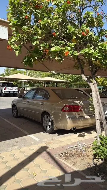 كيا اوبتيما 2008 للبيع 3