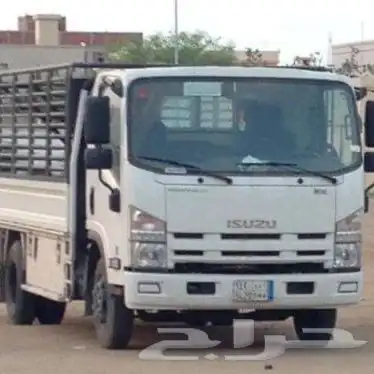 مشاوير داخل القنفذه 0