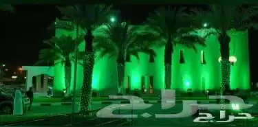 إضاءات العيد الوطني أقواس اضواء العيد الوطني 16