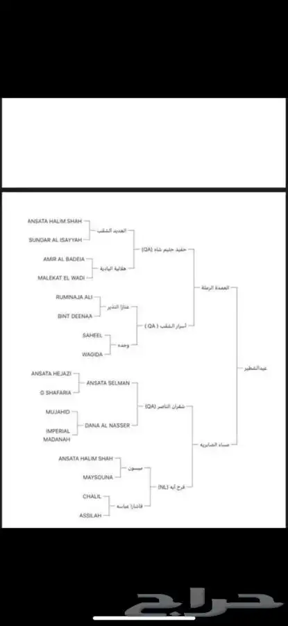 حصان واهو للبيع 4
