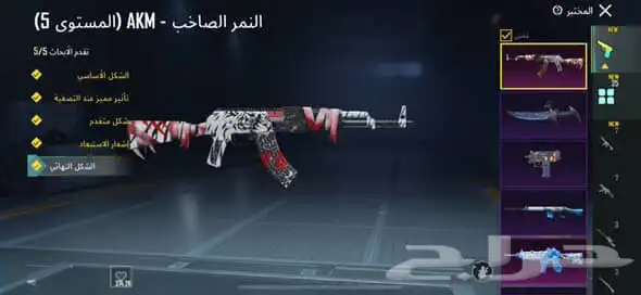 حساب ببجي للبيع 9